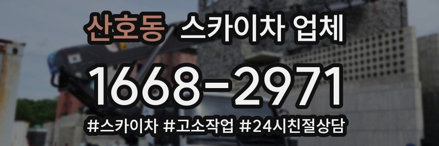 산호동 스카이차 업체