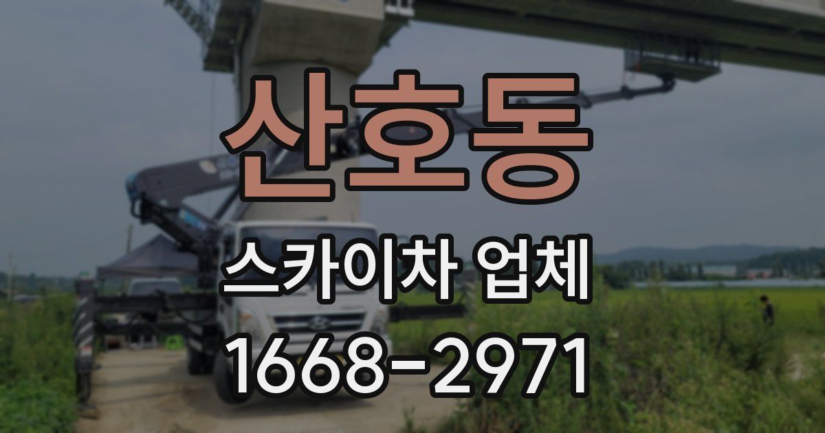 산호동 스카이차 업체