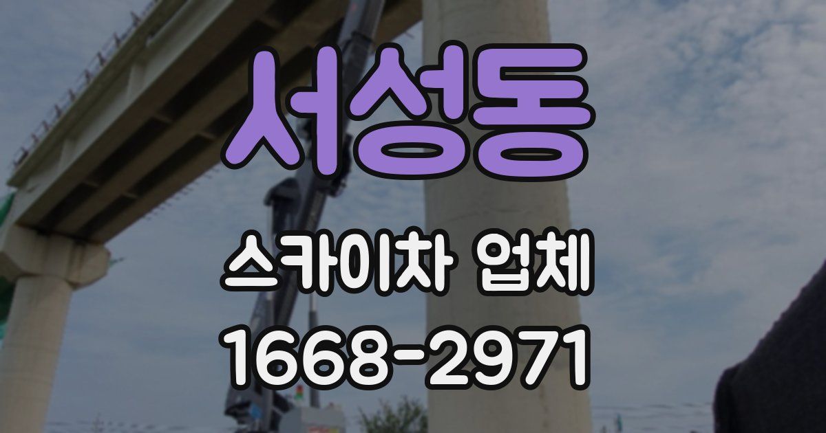 서성동 스카이차 업체