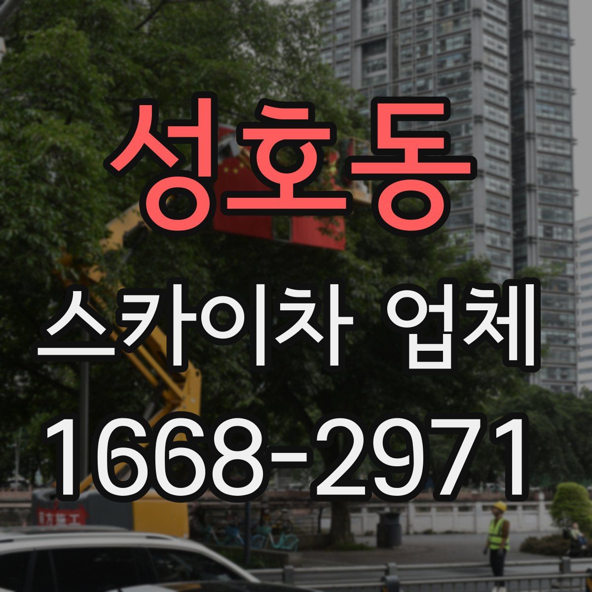 성호동 스카이차 업체