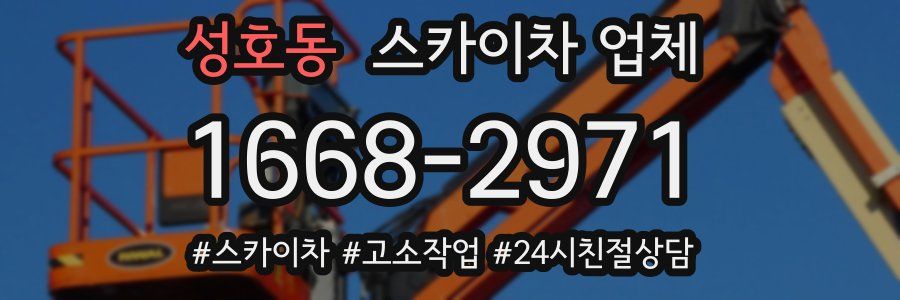 성호동 스카이차 업체