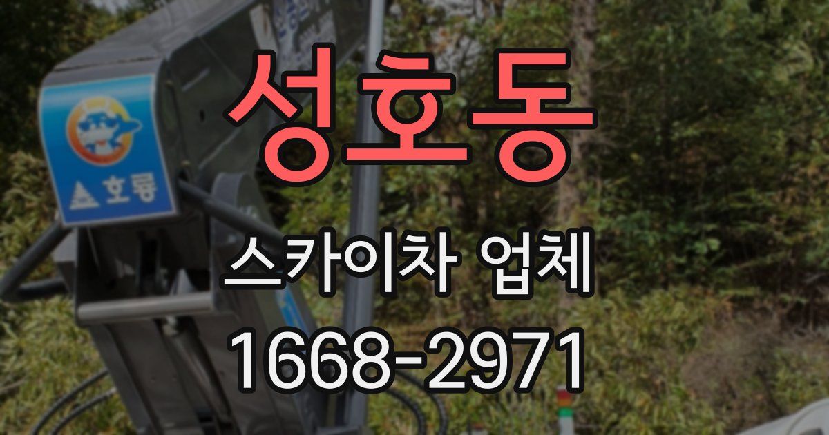 성호동 스카이차 업체