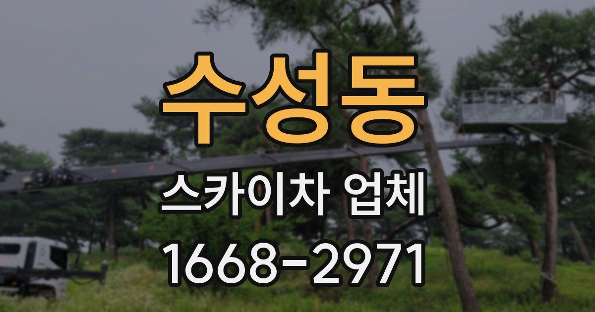 수성동 스카이차 업체