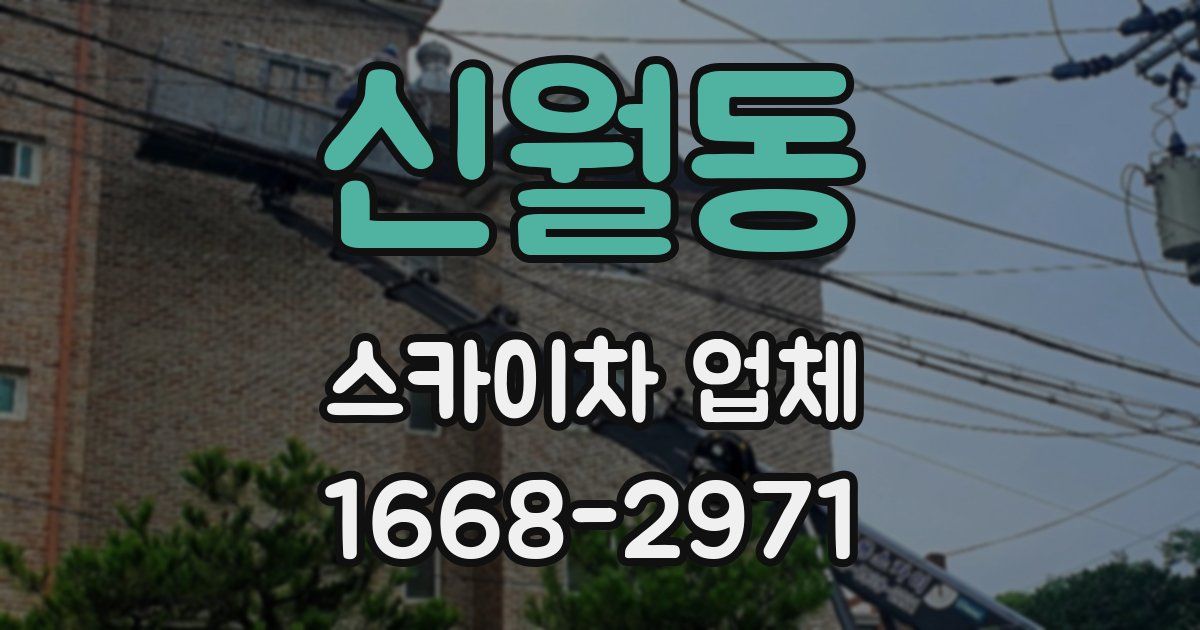 신월동 스카이차 업체
