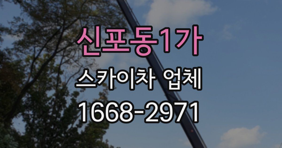 신포동1가 스카이차 업체