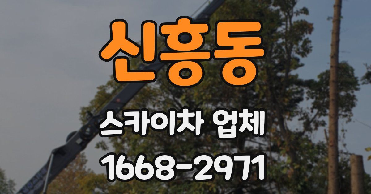 신흥동 스카이차 업체