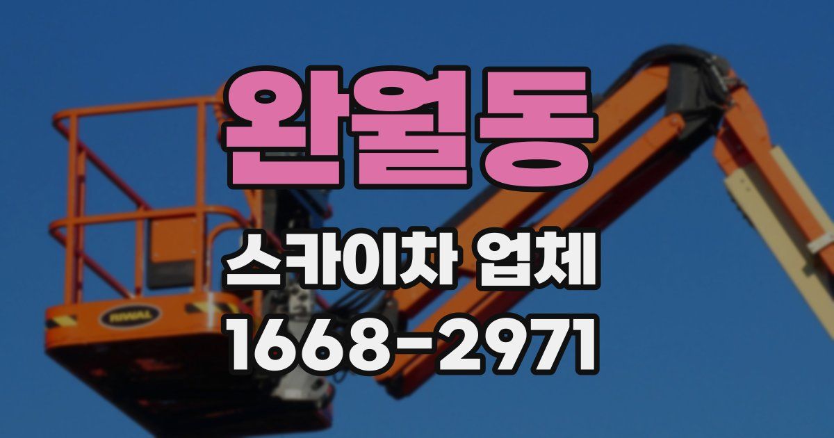 완월동 스카이차 업체