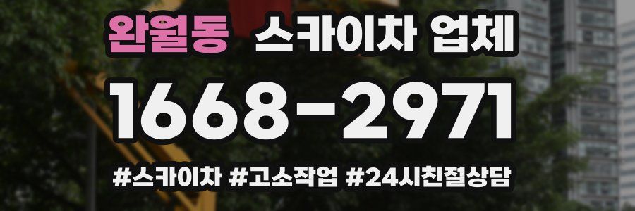 완월동 스카이차 업체
