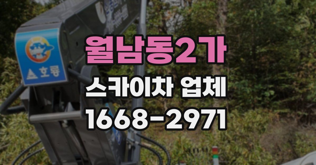 월남동2가 스카이차 업체