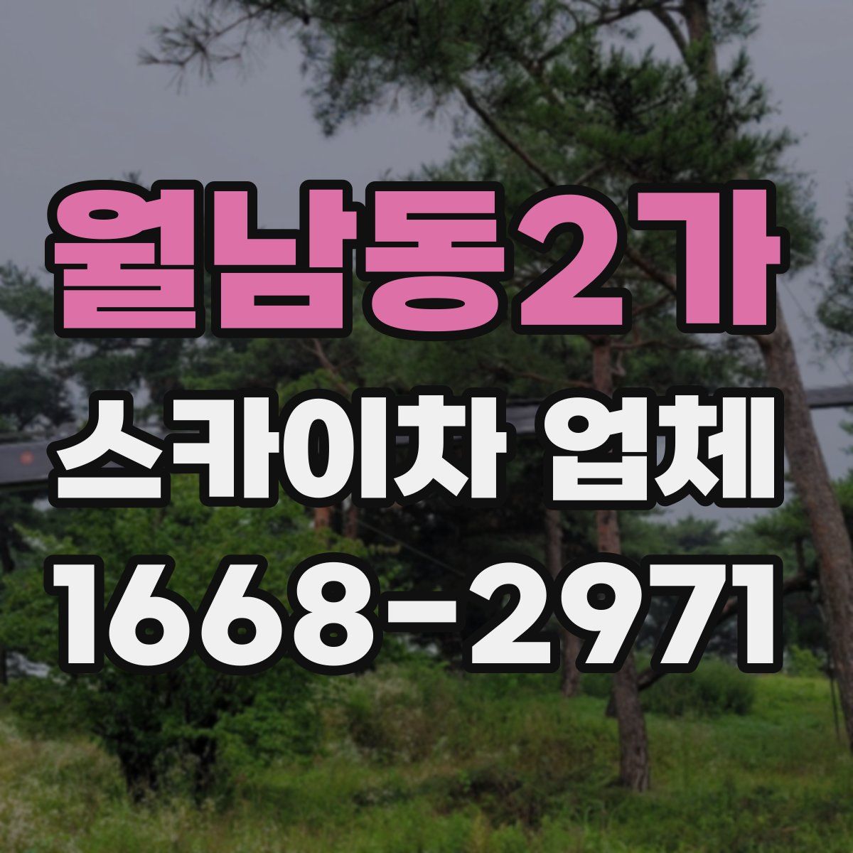 월남동2가 스카이차 업체