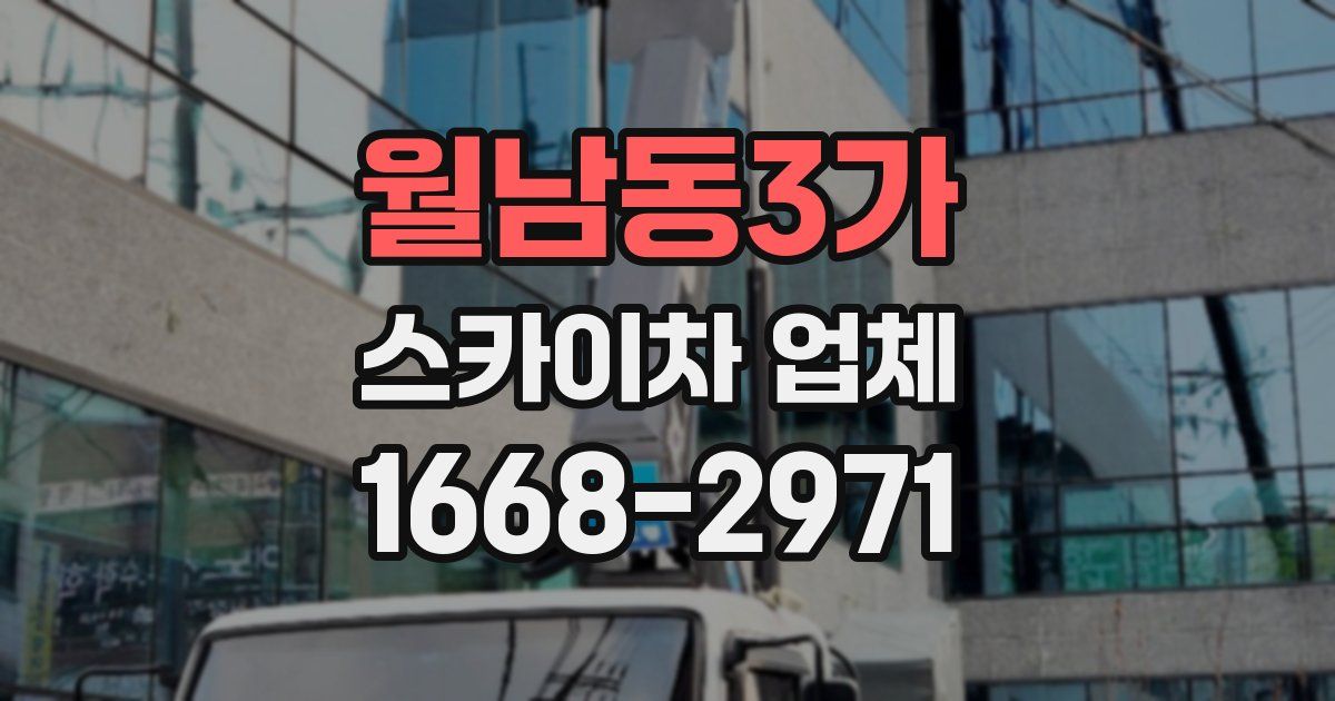 월남동3가 스카이차 업체