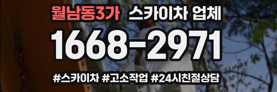 월남동3가 스카이차 업체