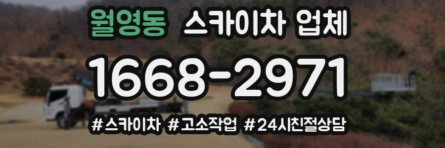 월영동 스카이차 업체