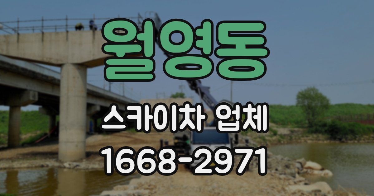 월영동 스카이차 업체