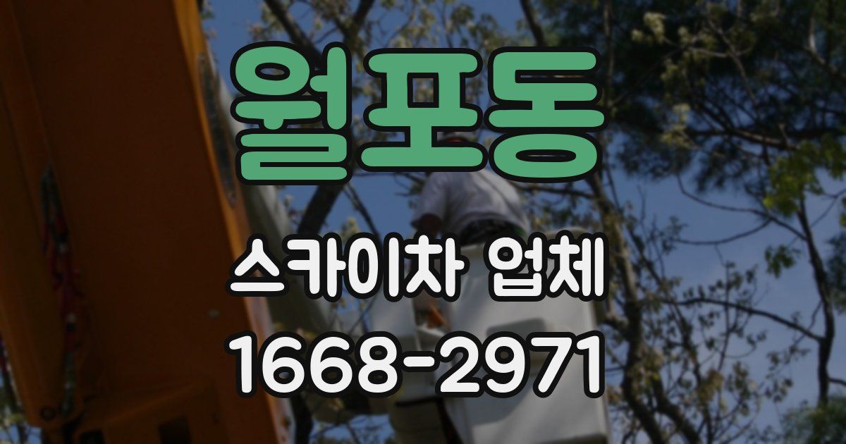 월포동 스카이차 업체