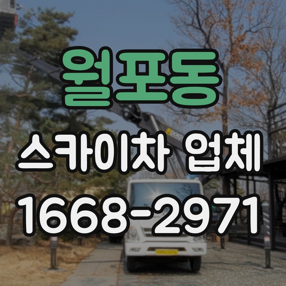 월포동 스카이차 업체