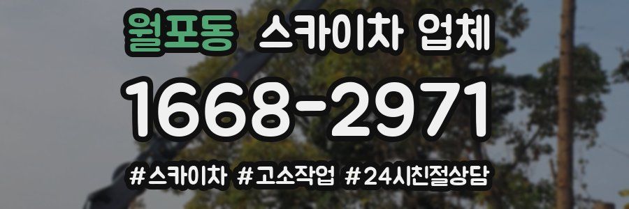월포동 스카이차 업체