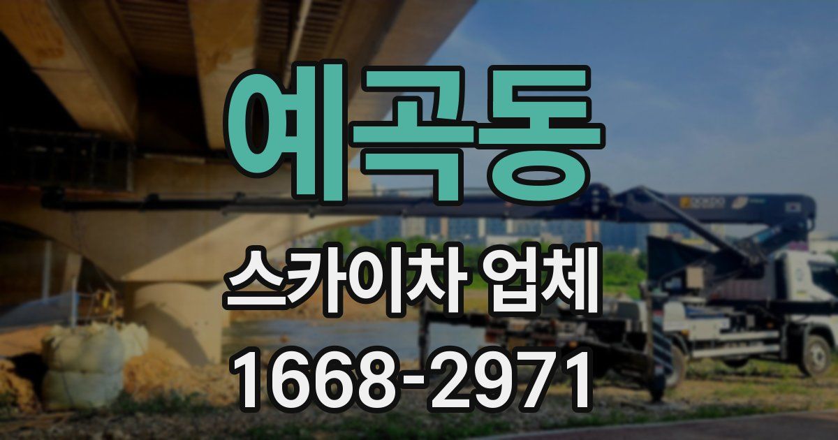 예곡동 스카이차 업체