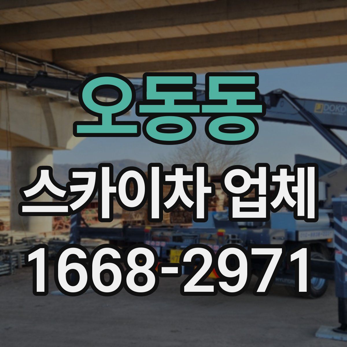 오동동 스카이차 업체