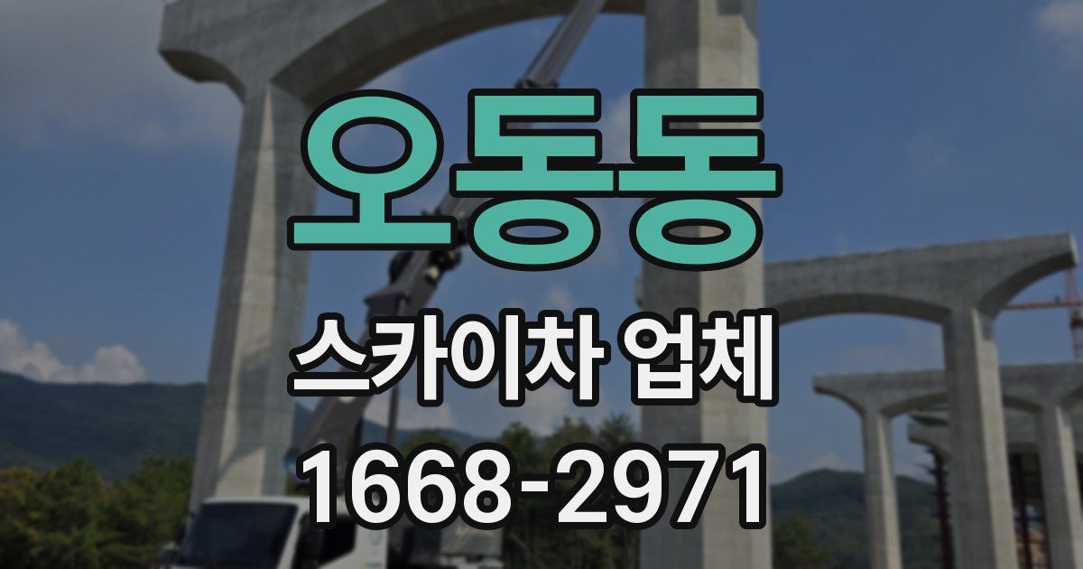 오동동 스카이차 업체