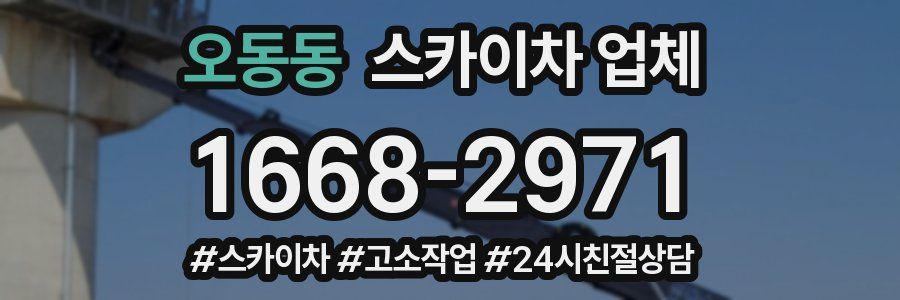 오동동 스카이차 업체