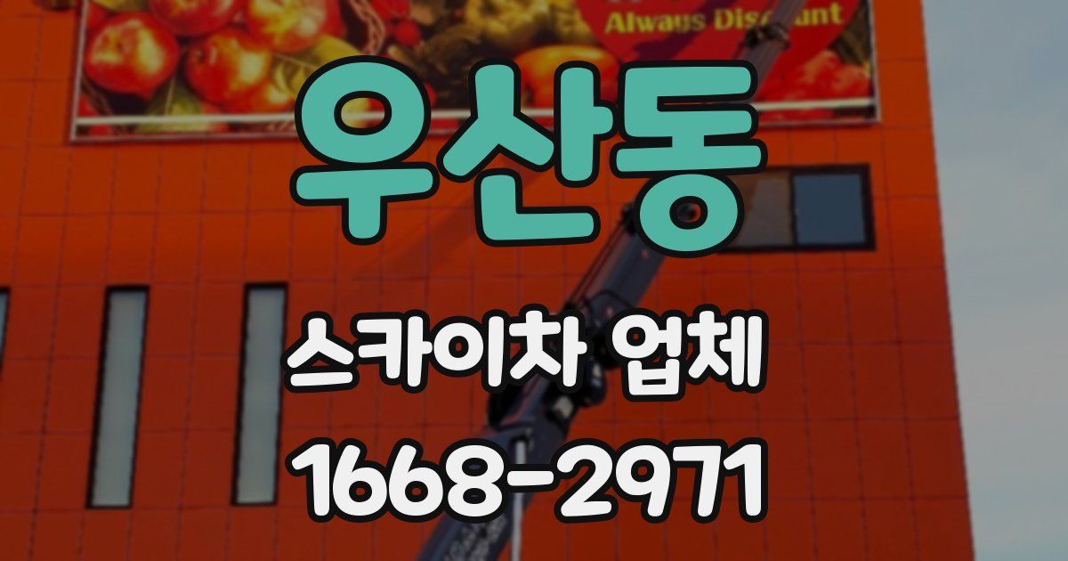 우산동 스카이차 업체