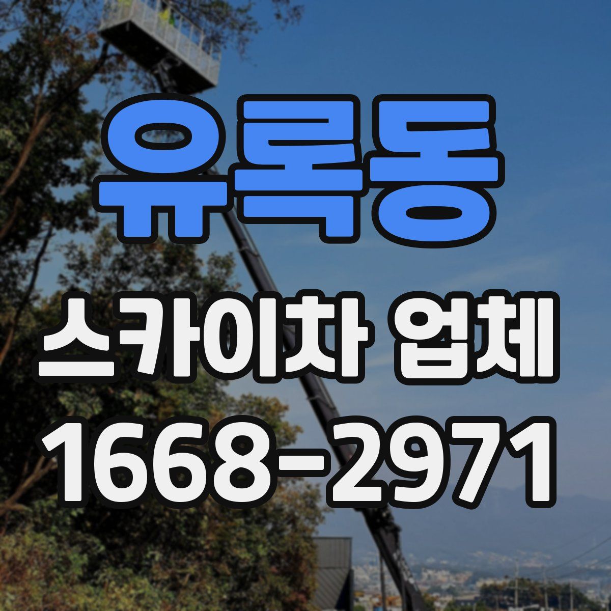 유록동 스카이차 업체
