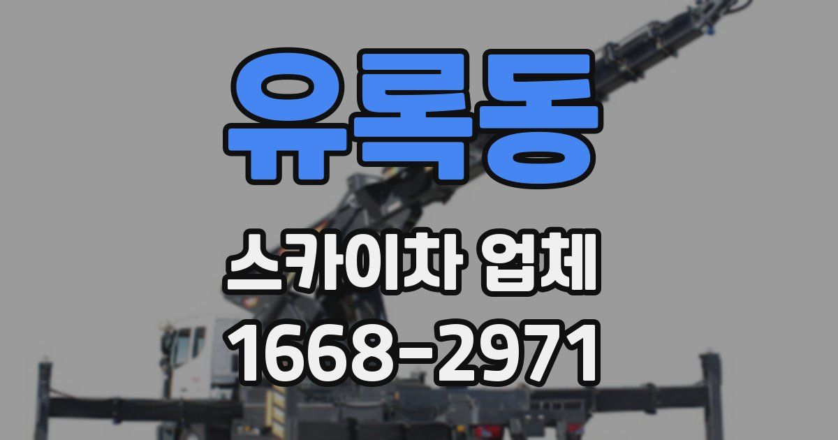 유록동 스카이차 업체