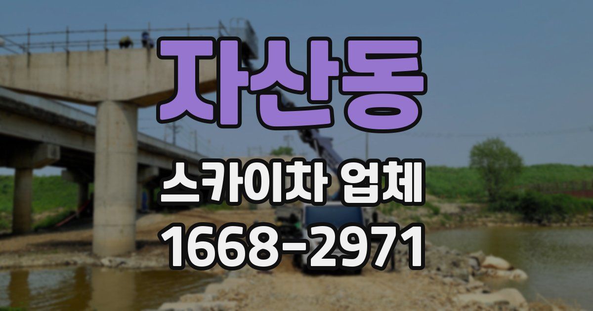 자산동 스카이차 업체