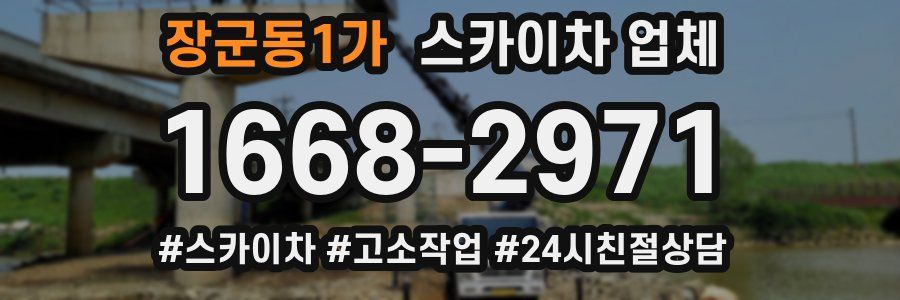 장군동1가 스카이차 업체