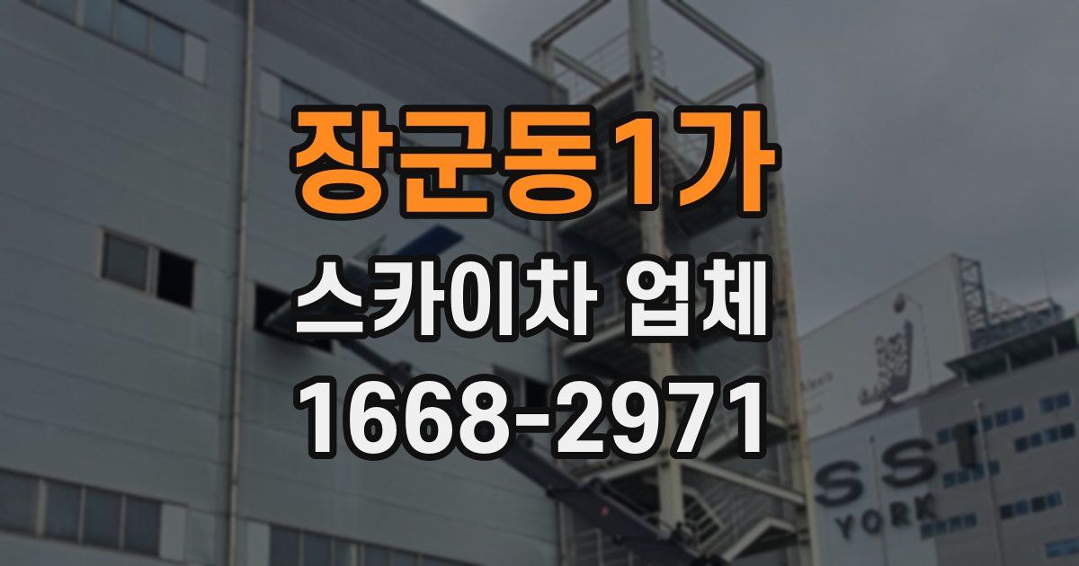 장군동1가 스카이차 업체