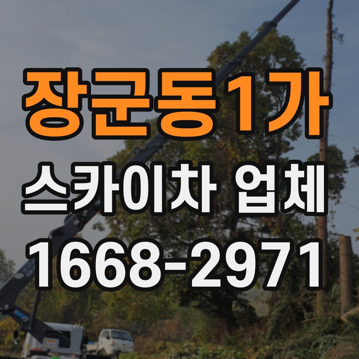 장군동1가 스카이차 업체