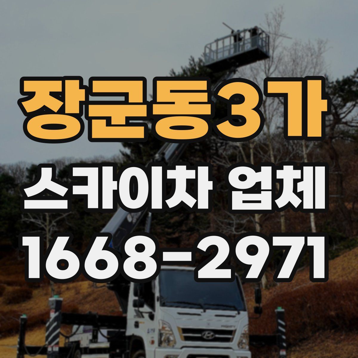 장군동3가 스카이차 업체