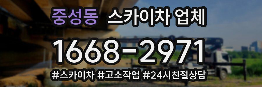 중성동 스카이차 업체