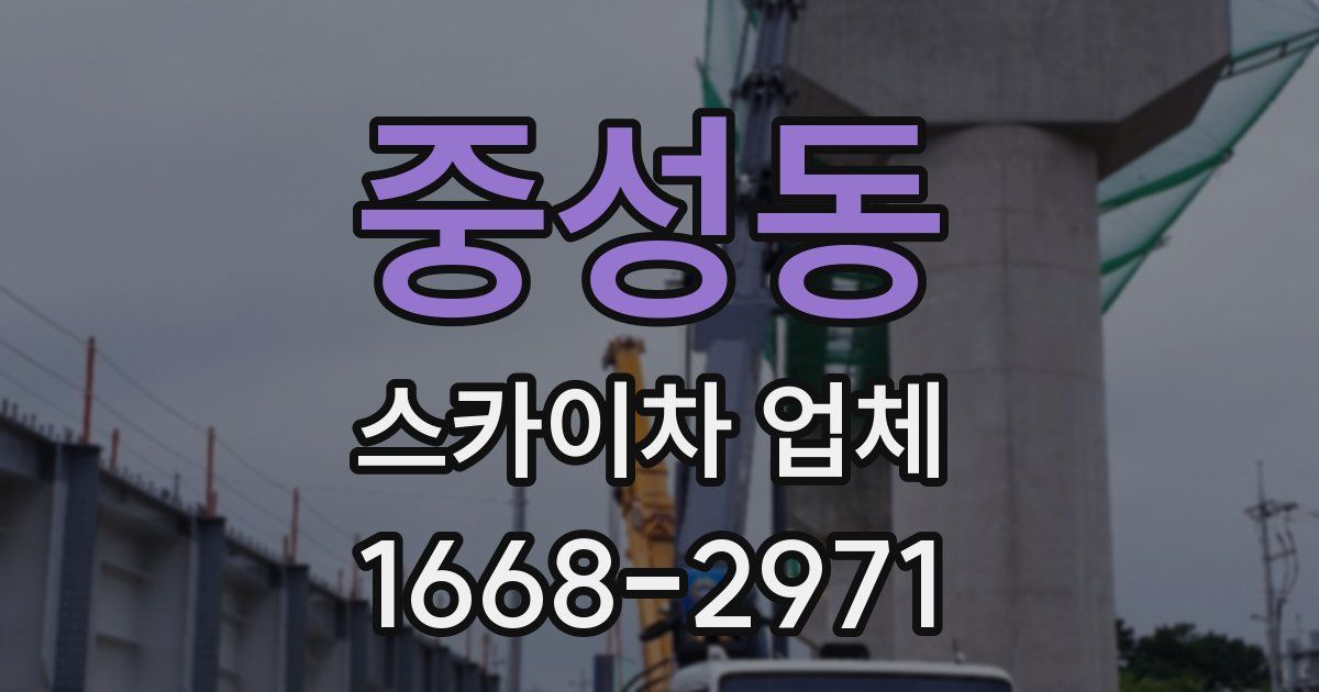 중성동 스카이차 업체