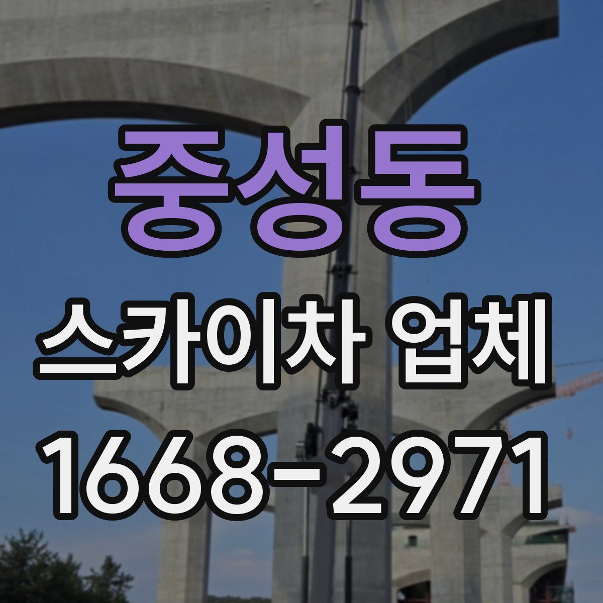 중성동 스카이차 업체