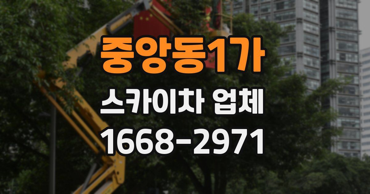 중앙동1가 스카이차 업체