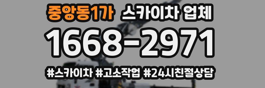 중앙동1가 스카이차 업체