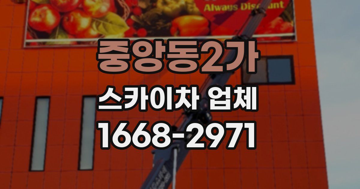 중앙동2가 스카이차 업체