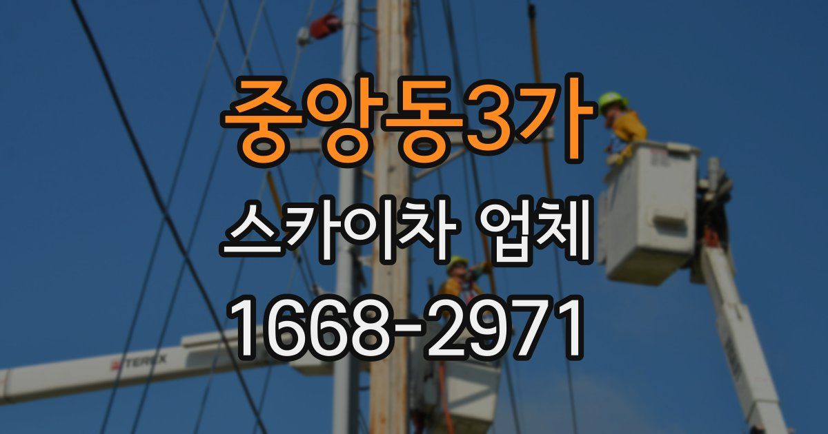 중앙동3가 스카이차 업체