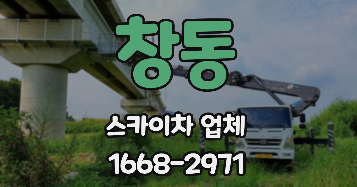 창동 스카이차 업체