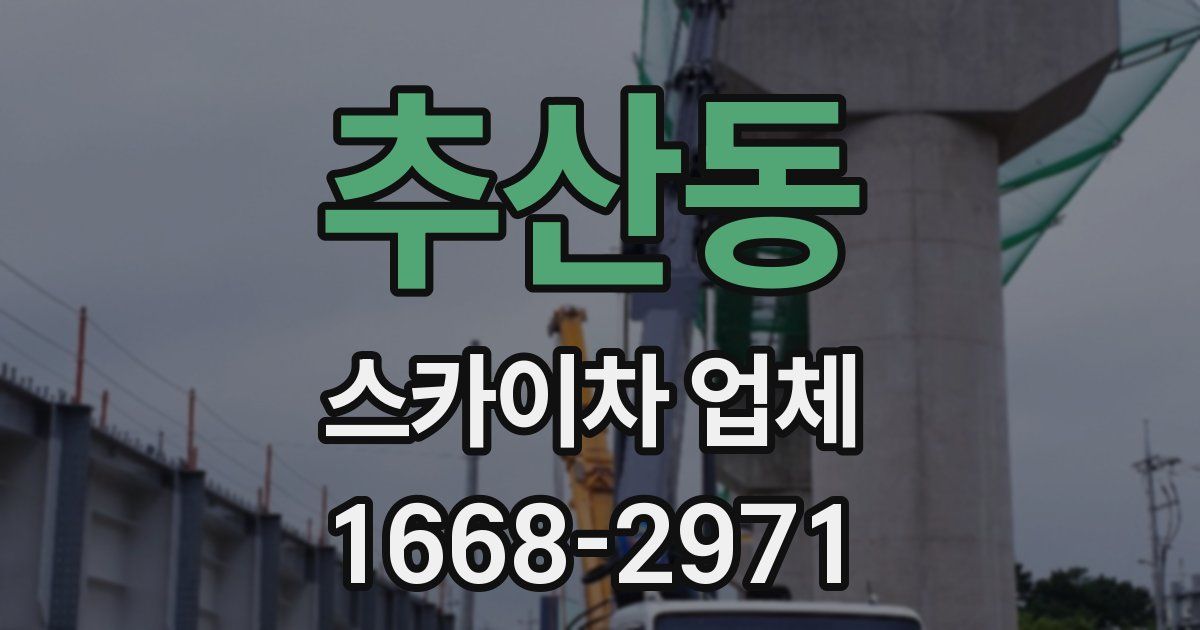 추산동 스카이차 업체