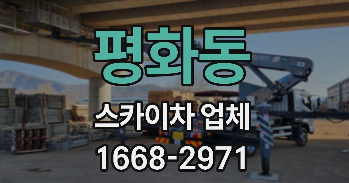 평화동 스카이차 업체