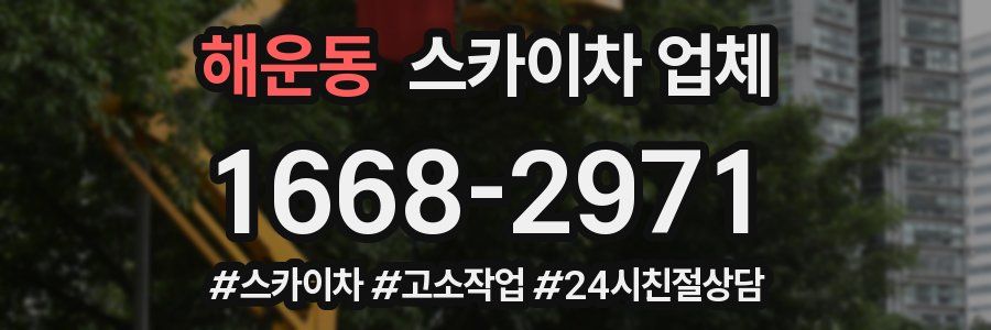 해운동 스카이차 업체