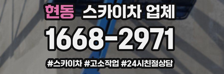 현동 스카이차 업체