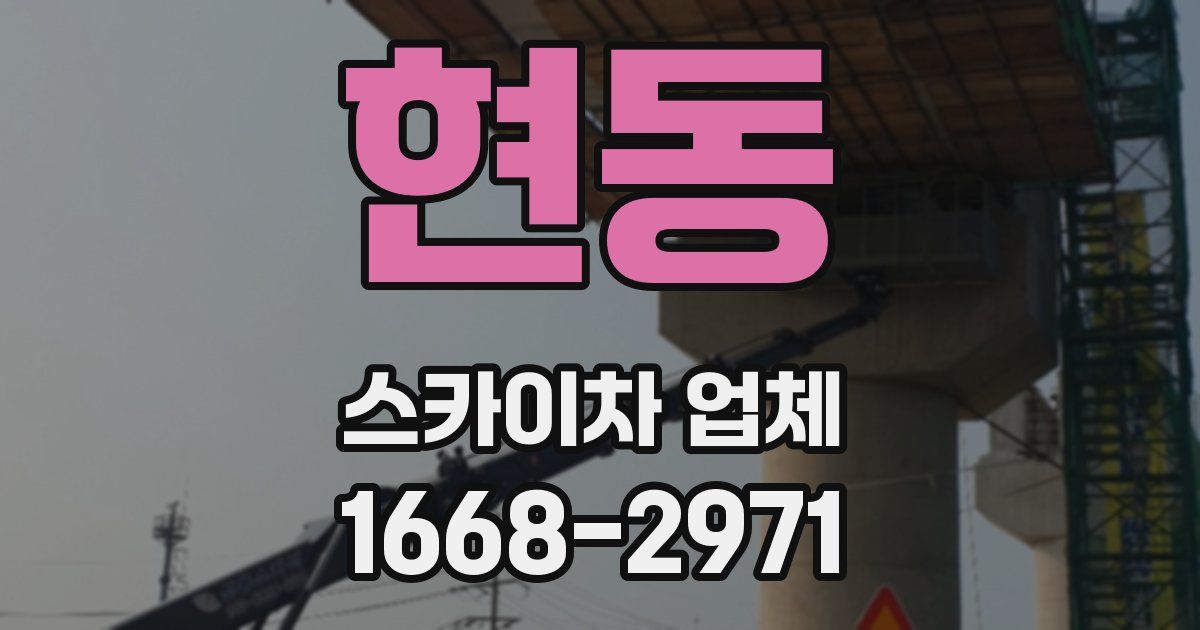 현동 스카이차 업체