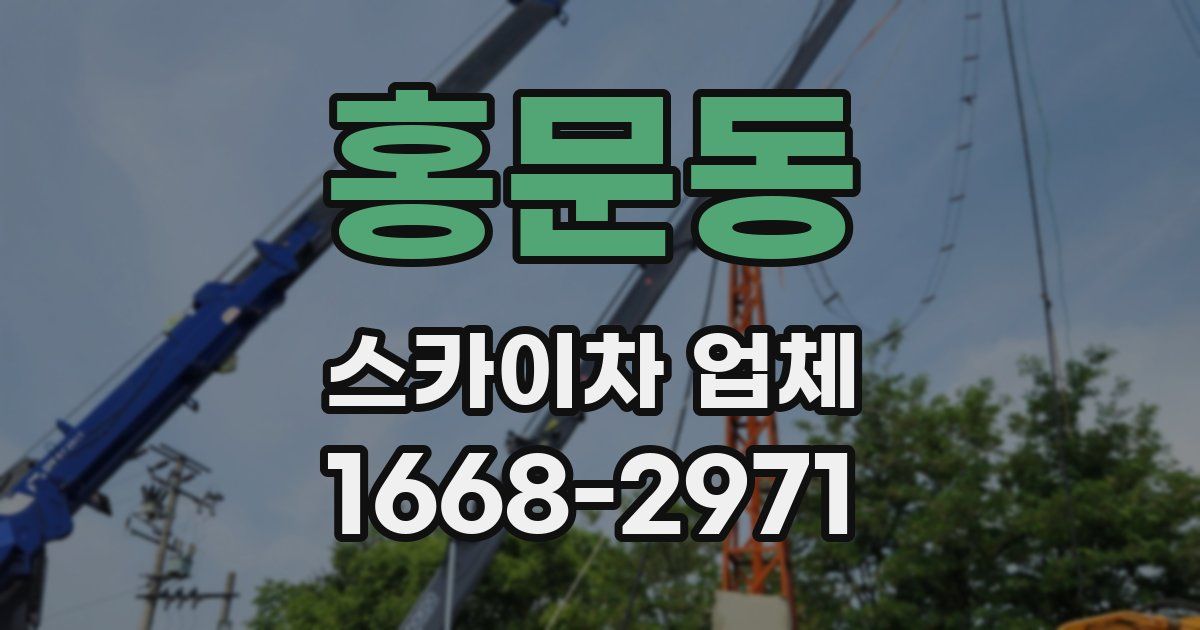 홍문동 스카이차 업체