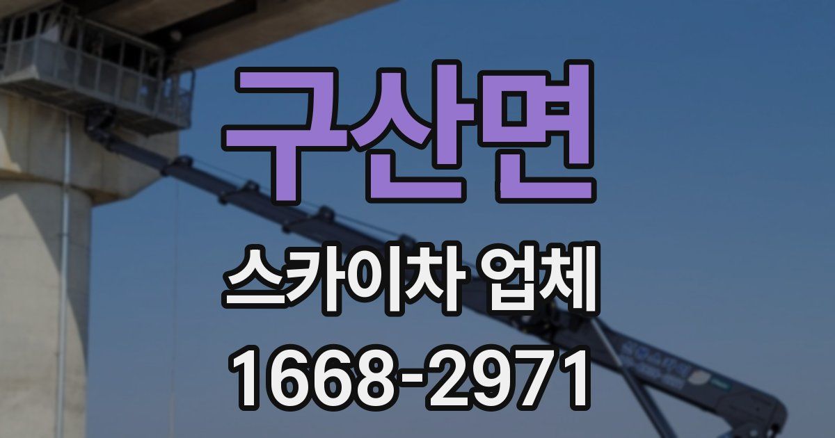 구산면 스카이차 업체