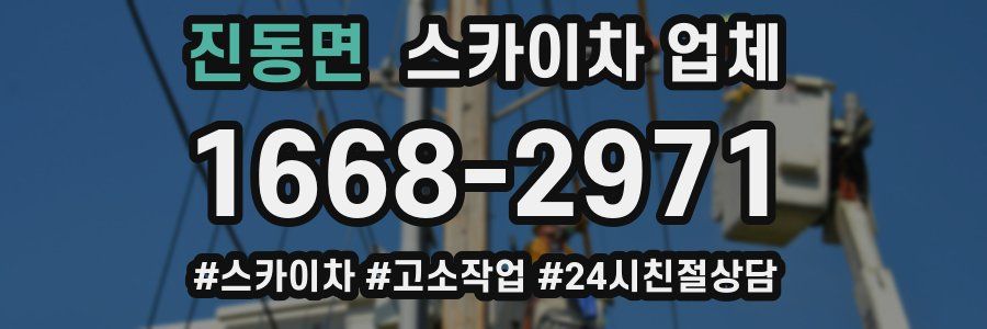 진동면 스카이차 업체
