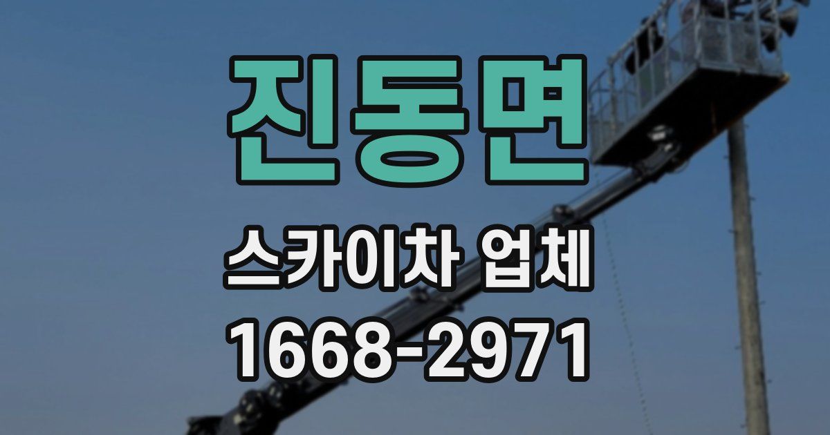 진동면 스카이차 업체